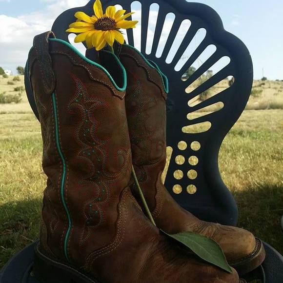 Meet your Posher, Trixie - Picture 1 of 1